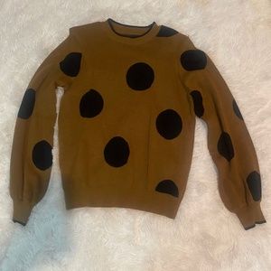 Who What Wear Brown Polka Dot Set